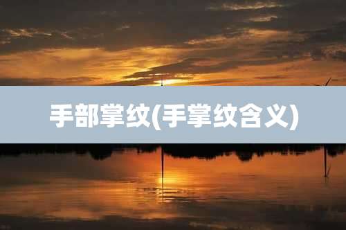 手部掌纹(手掌纹含义)