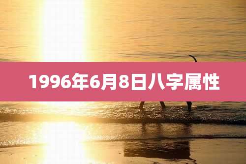 1996年6月8日八字属性
