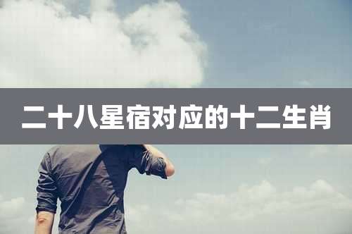 二十八星宿对应的十二生肖