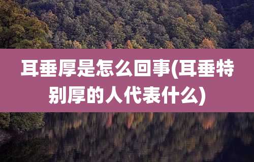 耳垂厚是怎么回事(耳垂特别厚的人代表什么)
