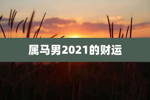 属马男2021的财运