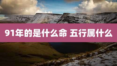 91年的是什么命 五行属什么