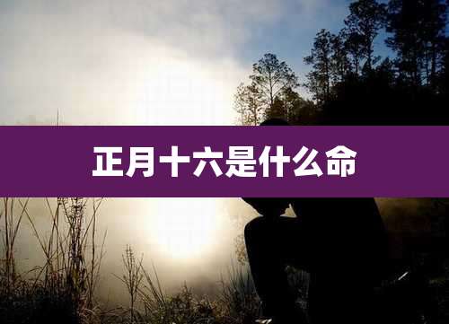 正月十六是什么命