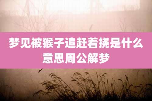 梦见被猴子追赶着挠是什么意思周公解梦