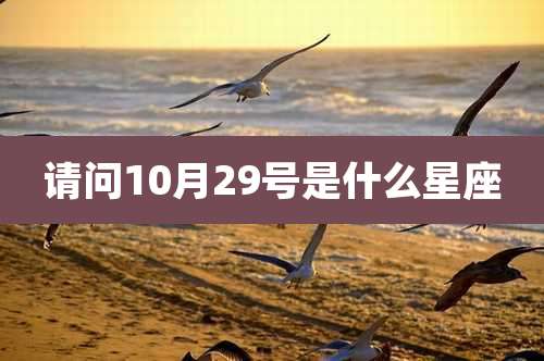 请问10月29号是什么星座