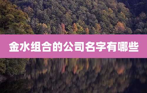金水组合的公司名字有哪些