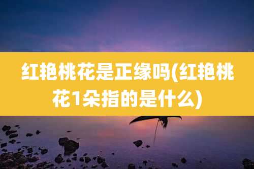 红艳桃花是正缘吗(红艳桃花1朵指的是什么)