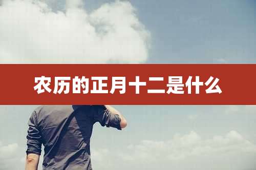 农历的正月十二是什么