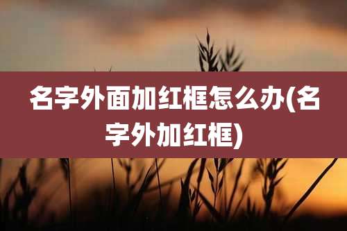 名字外面加红框怎么办(名字外加红框)