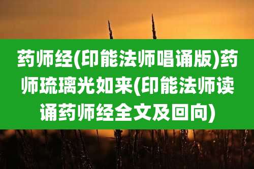 药师经(印能法师唱诵版)药师琉璃光如来(印能法师读诵药师经全文及回向)