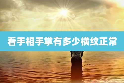 看手相手掌有多少横纹正常