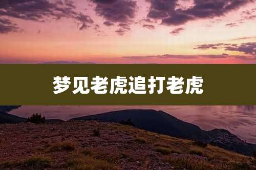 梦见老虎追打老虎