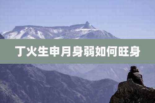 丁火生申月身弱如何旺身