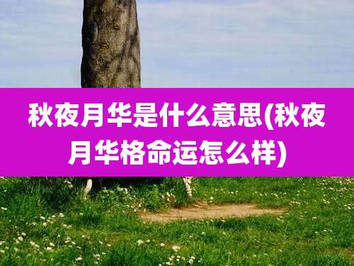 秋夜月华是什么意思(秋夜月华格命运怎么样)
