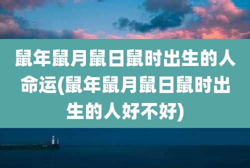 鼠年鼠月鼠日鼠时出生的人命运(鼠年鼠月鼠日鼠时出生的人好不好)