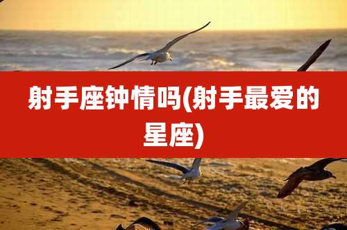 射手座钟情吗(射手最爱的星座)