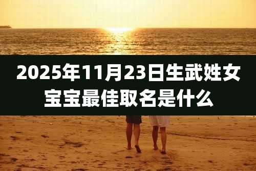 2025年11月23日生武姓女宝宝最佳取名是什么