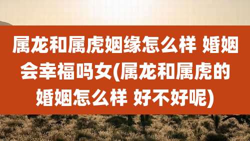 属龙和属虎姻缘怎么样 婚姻会幸福吗女(属龙和属虎的婚姻怎么样 好不好呢)