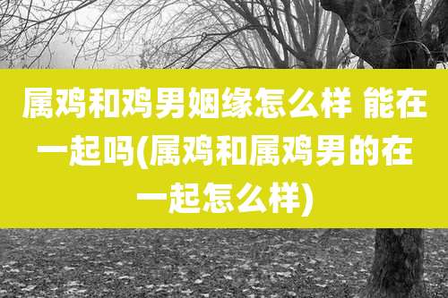 属鸡和鸡男姻缘怎么样 能在一起吗(属鸡和属鸡男的在一起怎么样)