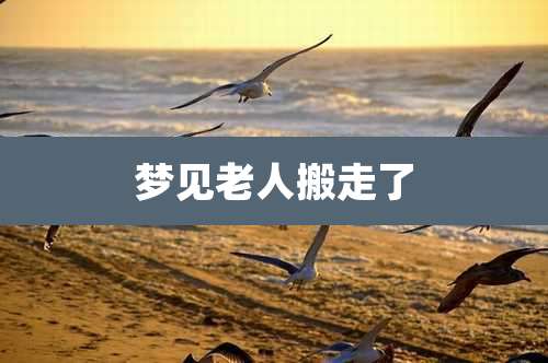 梦见老人搬走了