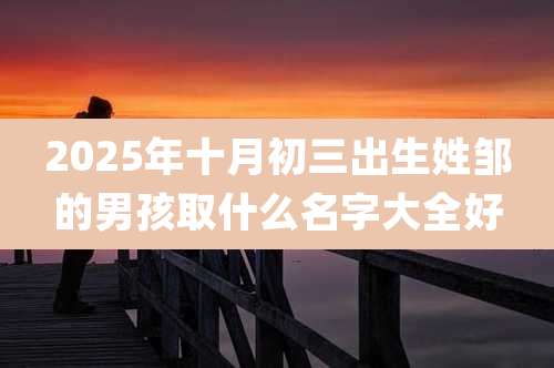 2025年十月初三出生姓邹的男孩取什么名字大全好