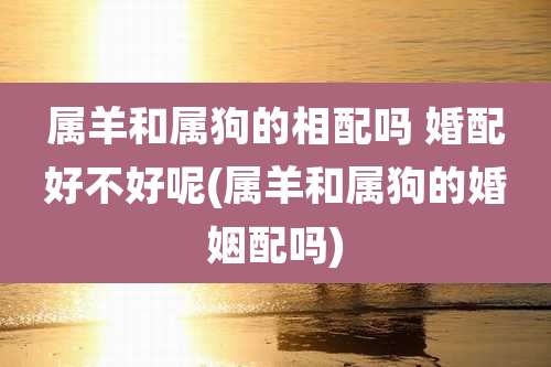 属羊和属狗的相配吗 婚配好不好呢(属羊和属狗的婚姻配吗)