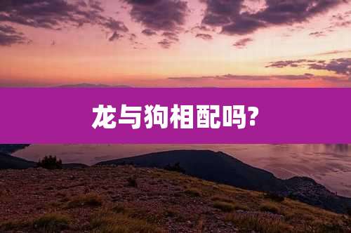 龙与狗相配吗?