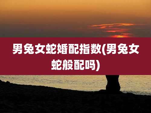 男兔女蛇婚配指数(男兔女蛇般配吗)