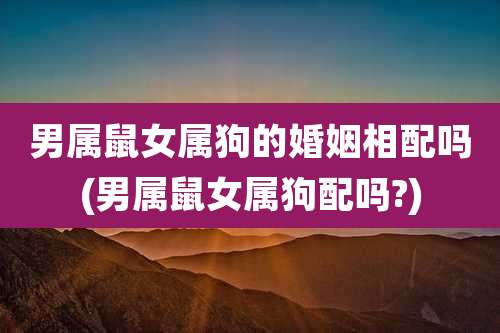 男属鼠女属狗的婚姻相配吗(男属鼠女属狗配吗?)