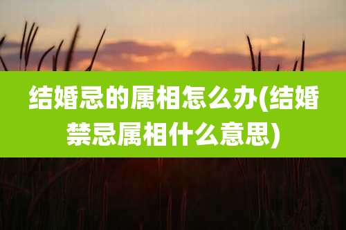 结婚忌的属相怎么办(结婚禁忌属相什么意思)