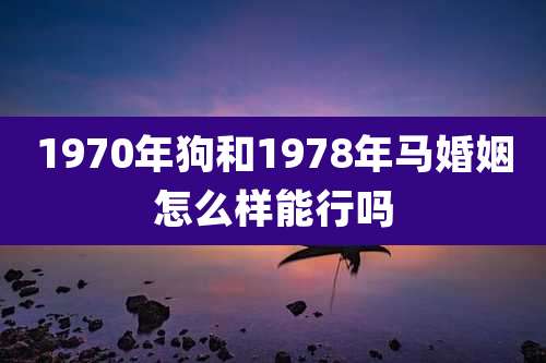 1970年狗和1978年马婚姻怎么样能行吗