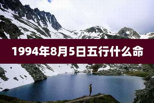 1994年8月5日五行什么命