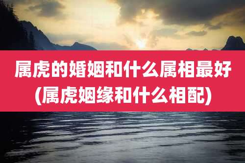 属虎的婚姻和什么属相最好(属虎姻缘和什么相配)