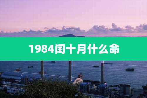 1984闰十月什么命