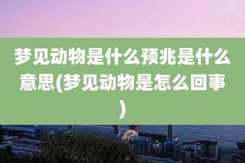 梦见动物是什么预兆是什么意思(梦见动物是怎么回事)