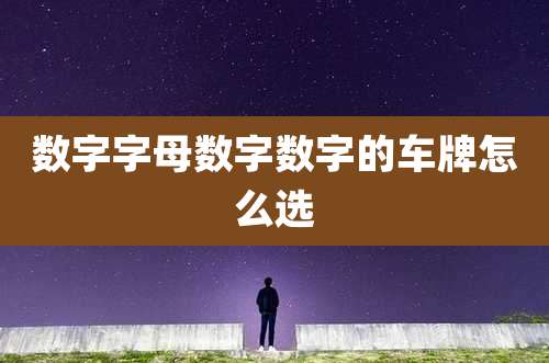 数字字母数字数字的车牌怎么选