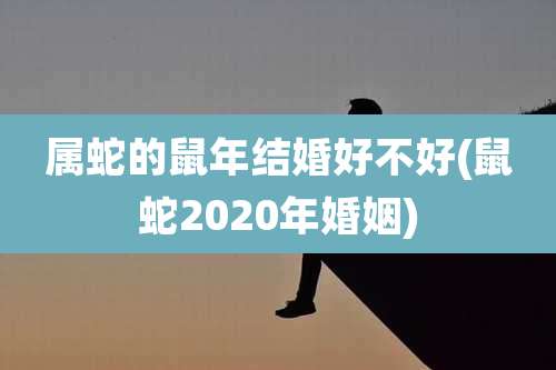 属蛇的鼠年结婚好不好(鼠蛇2020年婚姻)
