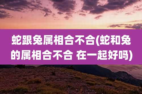 蛇跟兔属相合不合(蛇和兔的属相合不合 在一起好吗)