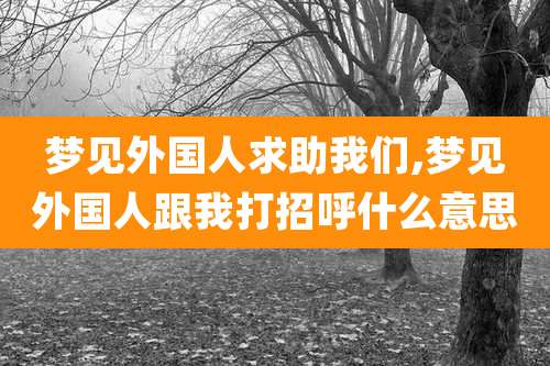 梦见外国人求助我们,梦见外国人跟我打招呼什么意思