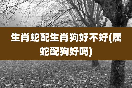 生肖蛇配生肖狗好不好(属蛇配狗好吗)