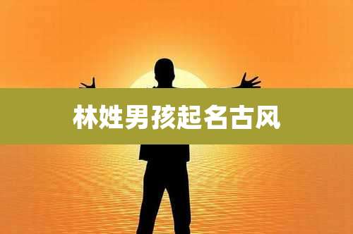 林姓男孩起名古风