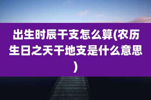 出生时辰干支怎么算(农历生日之天干地支是什么意思)