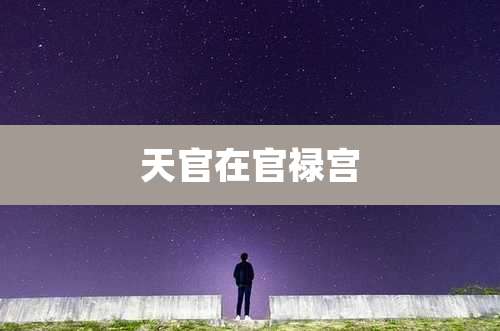 天官在官禄宫