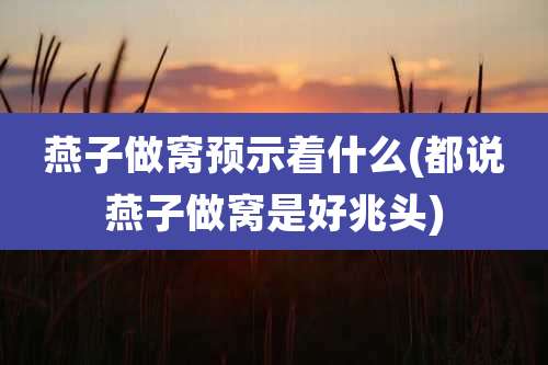 燕子做窝预示着什么(都说燕子做窝是好兆头)