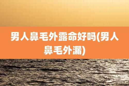 男人鼻毛外露命好吗(男人鼻毛外漏)