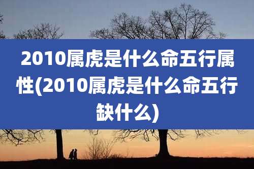 2010属虎是什么命五行属性(2010属虎是什么命五行缺什么)