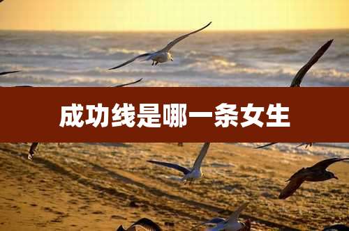 成功线是哪一条女生