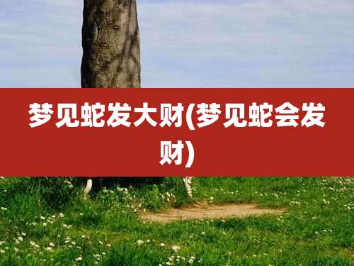 梦见蛇发大财(梦见蛇会发财)