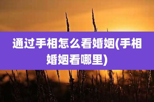 通过手相怎么看婚姻(手相婚姻看哪里)