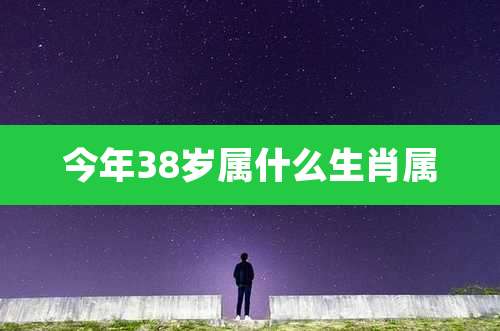 今年38岁属什么生肖属